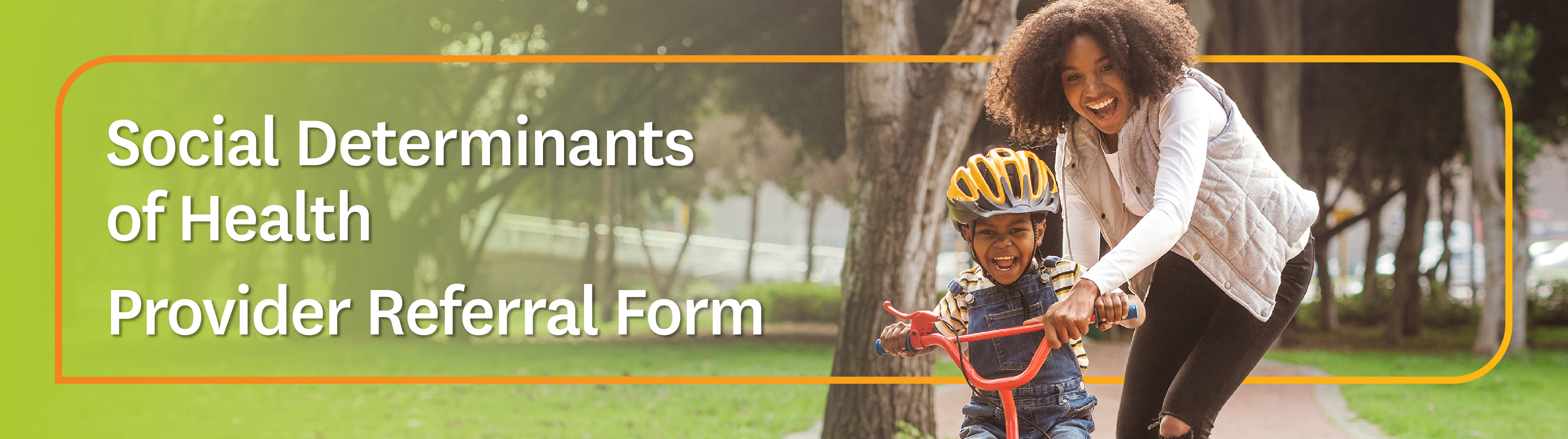 Social Determinants of Health Provider Referral Form